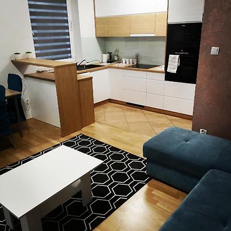 Apartament Luxbibi Apartment Rzeszow Ngoại thất bức ảnh